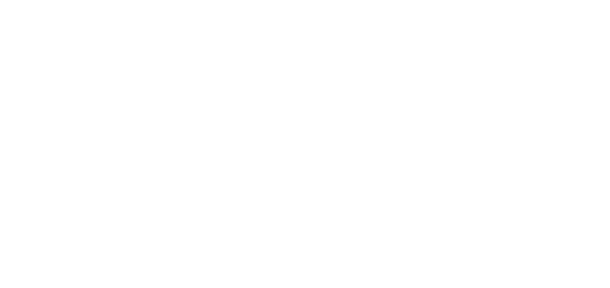 Item 1